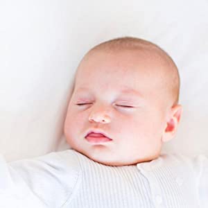 glassiano waterproof dustproof terry cotton mattress protector heavy quality terry mattress protecto