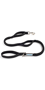 bungee leash