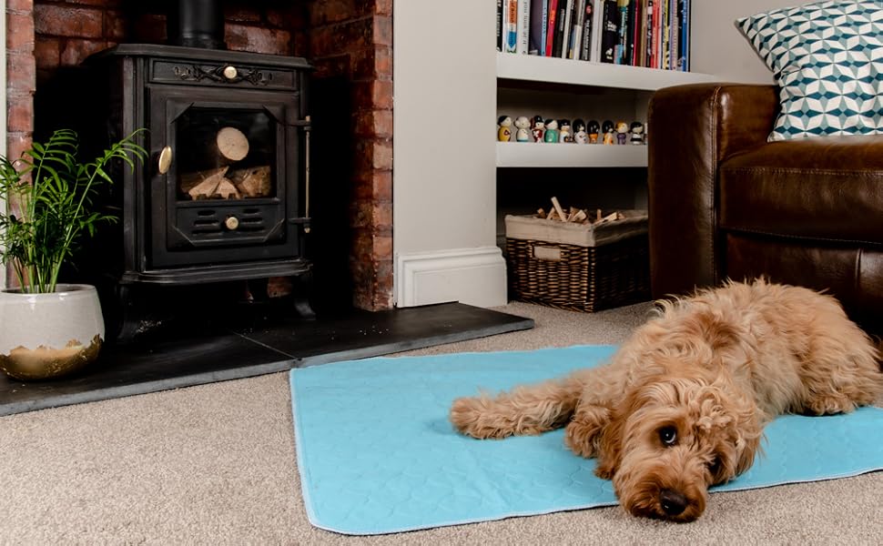 PET IMPACT Reusable Dog Pee Mats, XL Premium Washable Puppy Training Pads, Dog Incontinence Pads