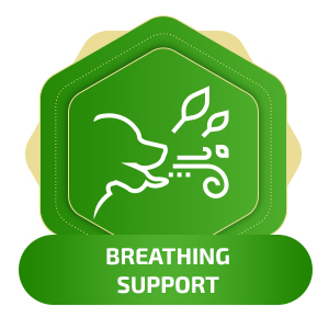 Breathing support