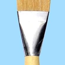 Ferrules