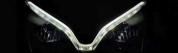 motorcycle battery, batteries, ducati, protek, rzmoto