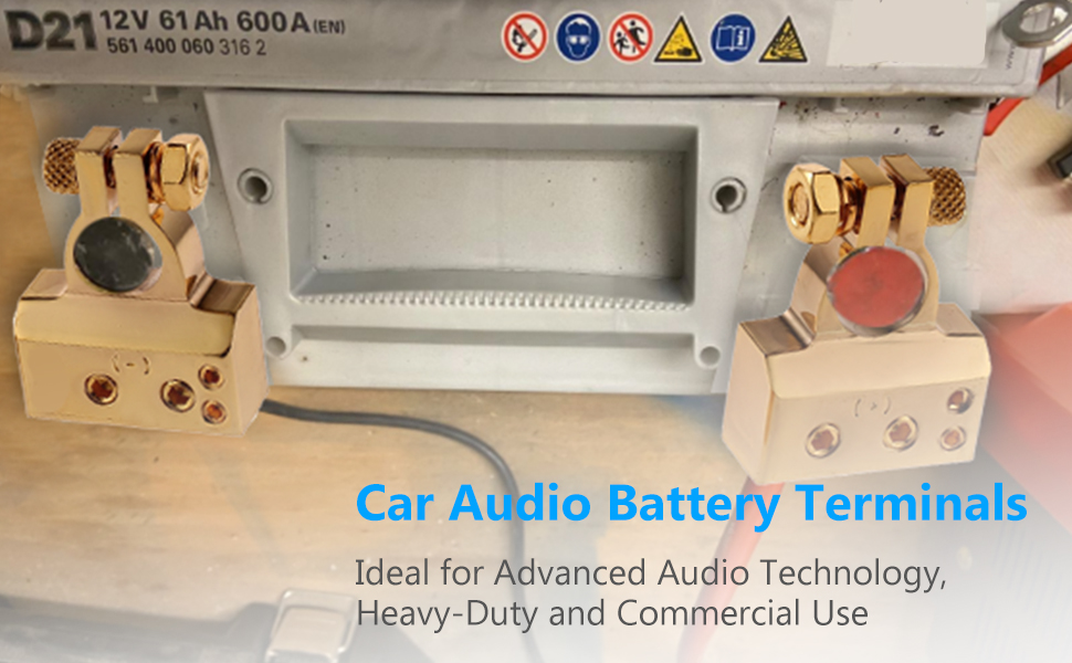 eSynic Car Battery Terminals 4/8 Gauge HeavyDuty Battery Terminal