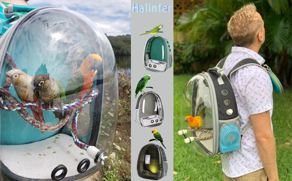 Bird Backpack Carrier Cage, Bird Travel Backpack with Stainless Steel