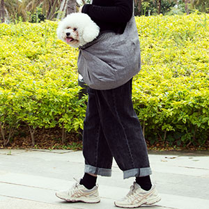 dog carriers for small dogs