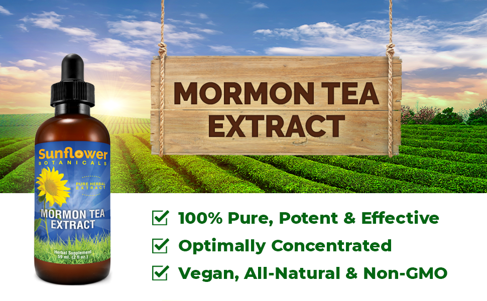 Mormon Tea Extract (Brigham Tea, Ephedra Tea), All Natural