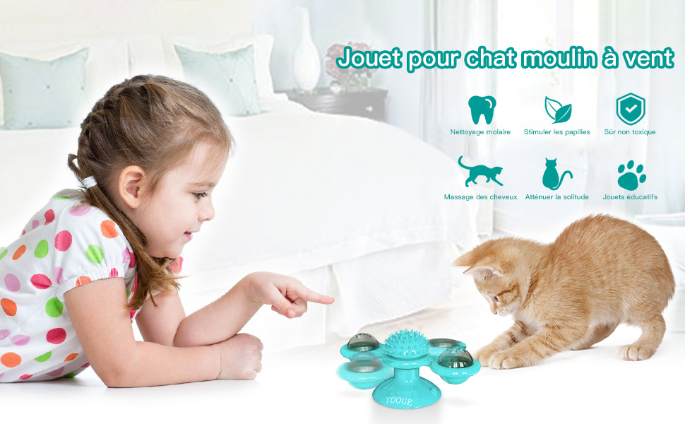 Ossky Jouets Pour Chats Jouet Pour Moulin A Vent Pour Chat Drole Jouet Interactif Pour Chat Avec L Herbe A Chat Et Boules Amazon Fr Animalerie