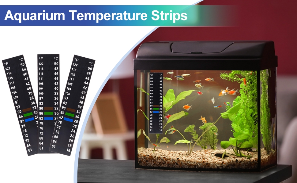 Standard Image Header With Text