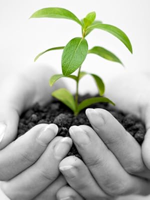 Compostable Biodegradable Eco Environmentally Conscious