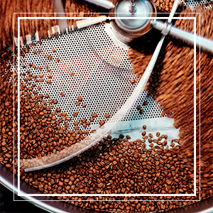 Grand Parade Uganda Fresh Unroasted Coffee Beans Single Origin Arabica Fairtrade Organic Costa Rica