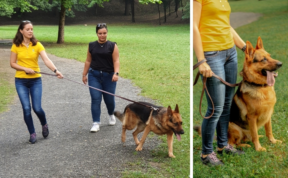 Large Leather Dog Collar and Leash Set Leather Dog Leash