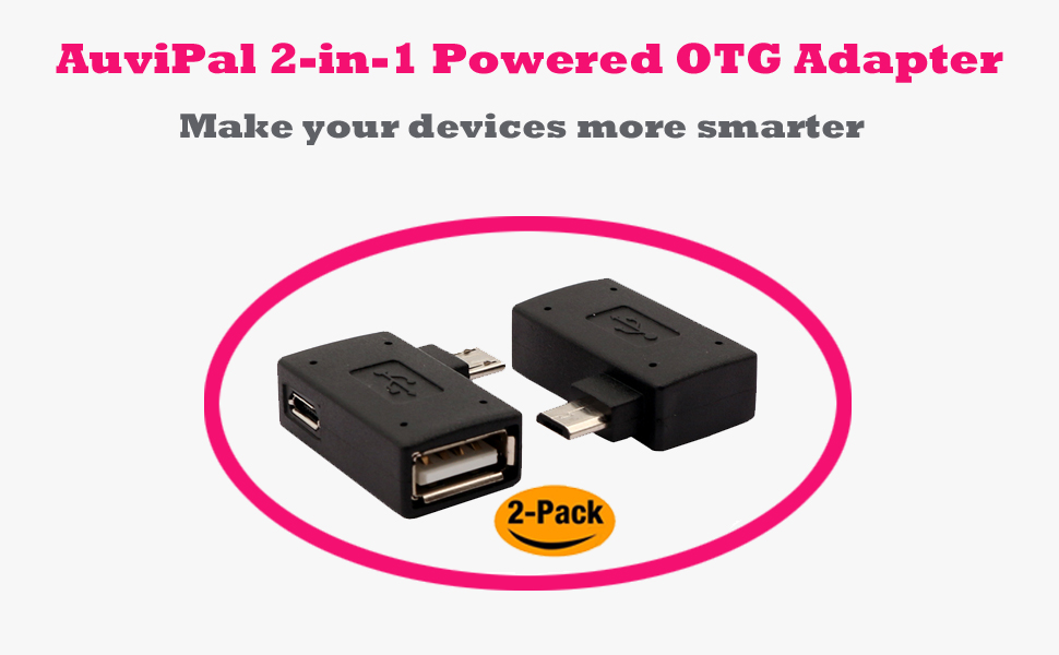 2-in-1 otg adapter with power