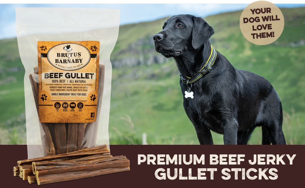 Gullet Sticks for Dogs, All Natural Single Ingredient Beef