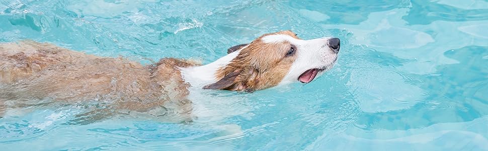 Vicsport Kuhlmatte Fur Hunde Haustier Kuhldecke Fur Hunde Und Katzen Kuhlkissen Kuhl Hundedecke Kaltgelpad 90 50cm Amazon De Haustier