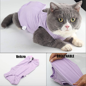 Amazon Com Lianzimau Cat Surgery Recovery Suit For Surgical Abdominal Wounds Home Indoor Pet Clothing E Collar Alternative For Cats After Surgery Pajama Suit Pet Supplies