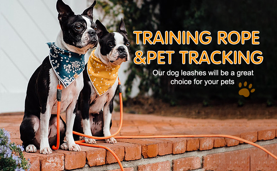 Vivifying Dog Long Line, 20FT Floating Long Line Dog Lead, Long Dog