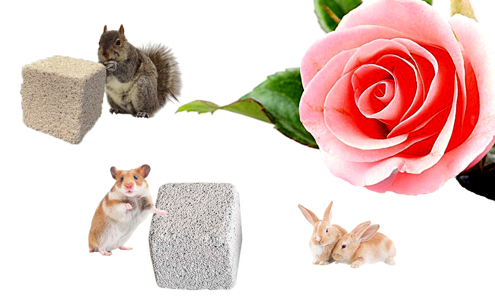 PINVNBY 15 Pcs Rabbits Lava Blocks Bunny Teeth Grinding