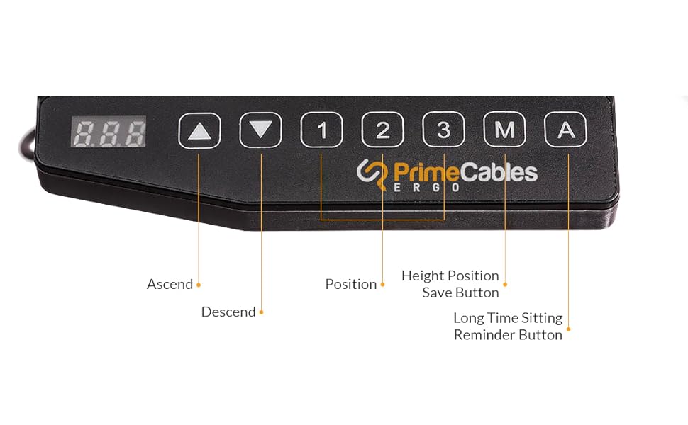 Sit-Stand Dual-Motor Height Adjustable ADR Desk Frame Electric