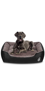 dog bed