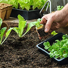 planting hole drill