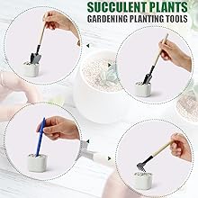 succulent care tools succulent garden kit