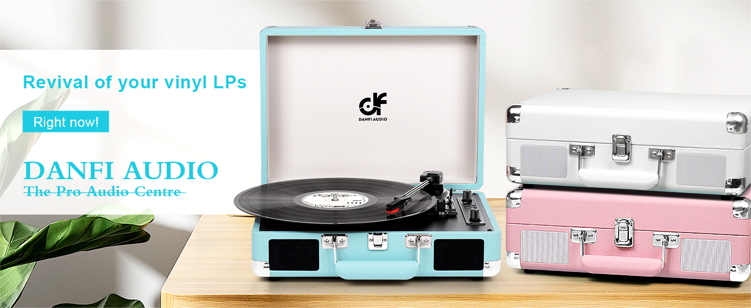 Amazon.com: Vinyl Record Player with Built-in 2 Speakers
