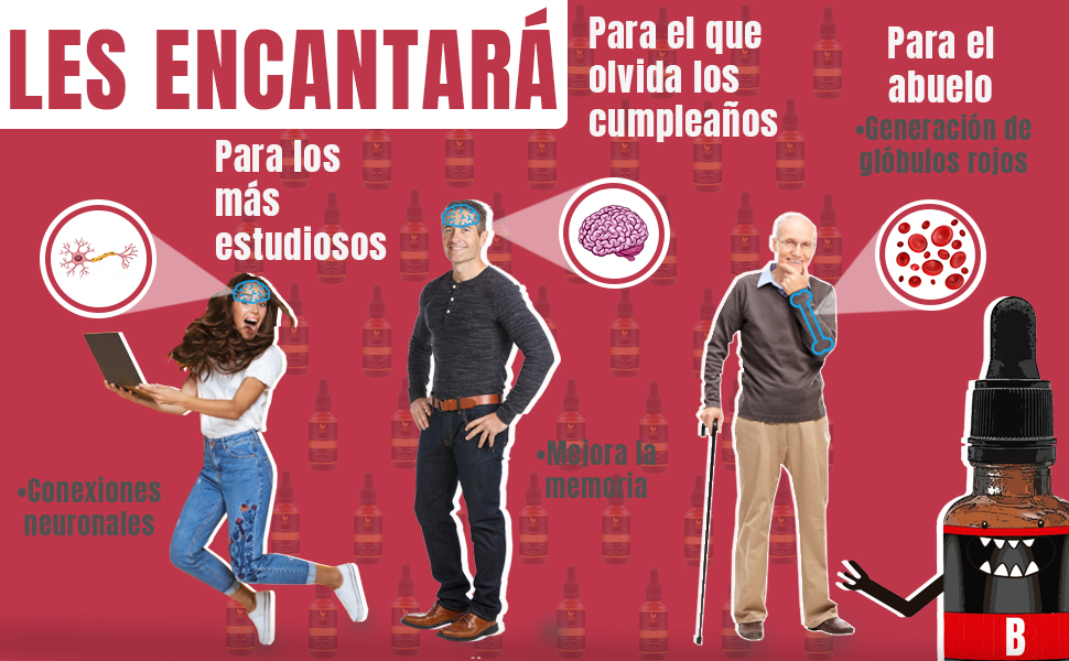  vitamina B conexiones neuronales produccion  globulos rojos estudiante mejora la memoria