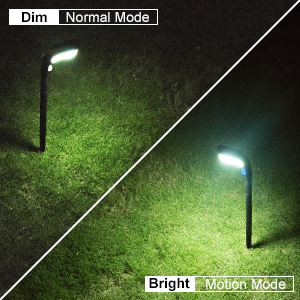 Solar Pathway Lights Outdoor