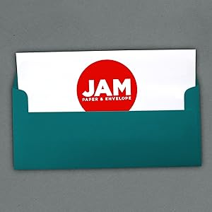 teal #10 business colored envelope