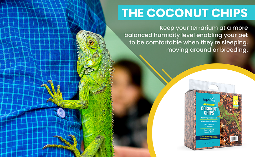 coconut husk substrate also helps you keep your terrarium at a more balanced humidity level