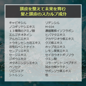 ケフトルEX アミノシャンプー アミノ酸系スカルプシャンプー メンズシャンプー