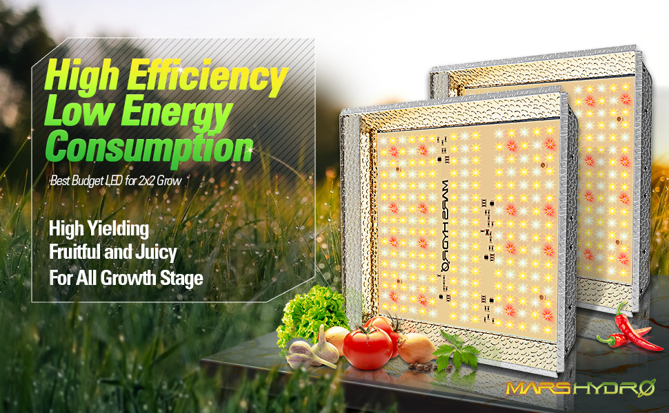 MARS HYDRO TS 600W LED Grow Lights Reflector Budget LED ...
