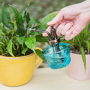 Vintage Plant Mister