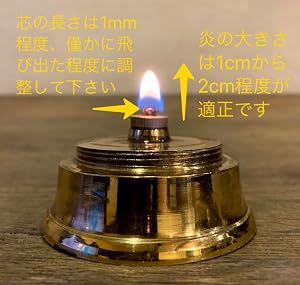 Amazon.co.jp: Roost Outdoors Brass Oil Ship Lantern ( 真鍮 オイル