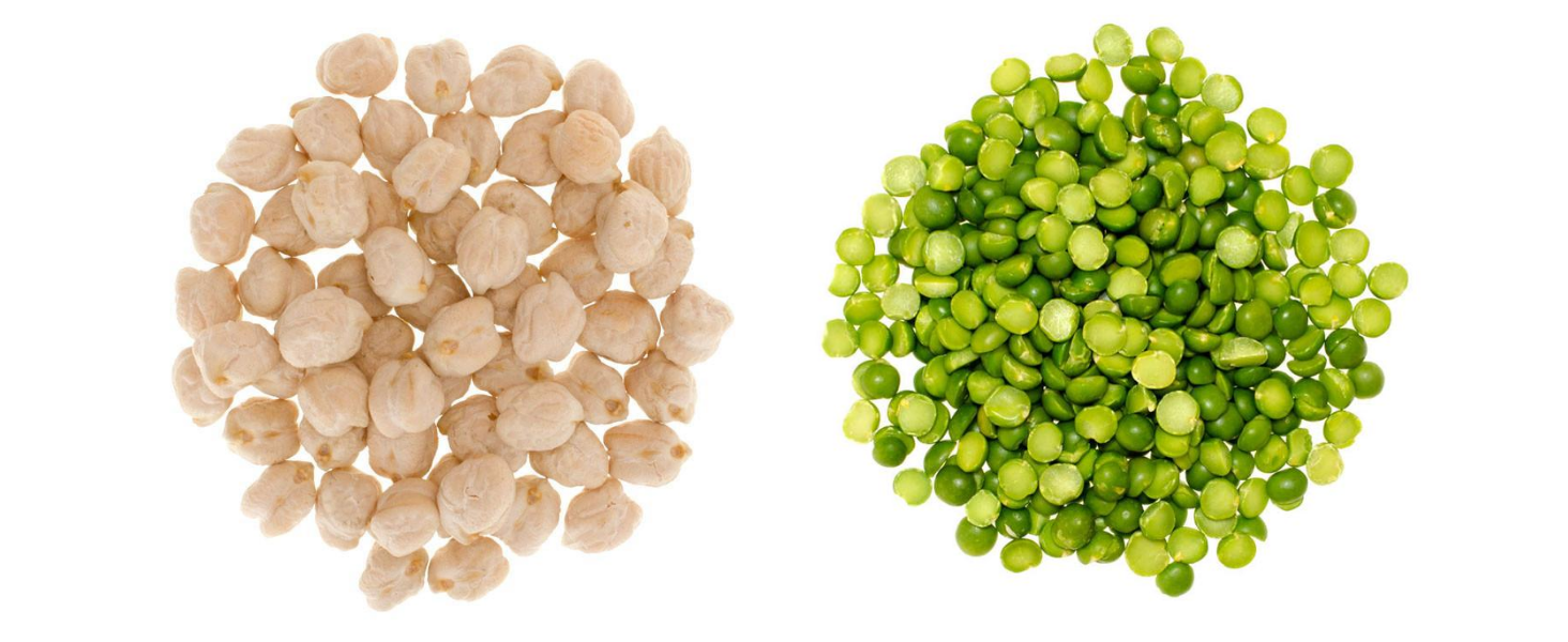 garbanzo beans ceci beans chickpeas pardina lentils small brown lentils bulk dried non gmo