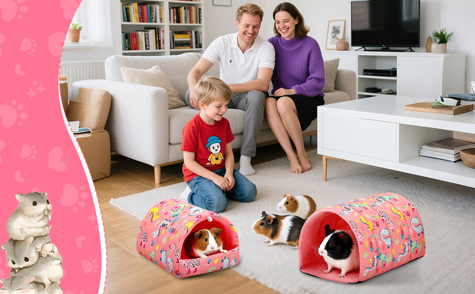 2 Pack Guinea Pig Hideout