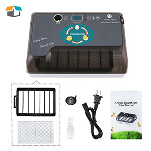 Egg Incubator Gift for Kids Fully Automatic Egg Incubator Poultry Hatcher Machine with Led Candler