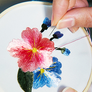 Embroidery Needle