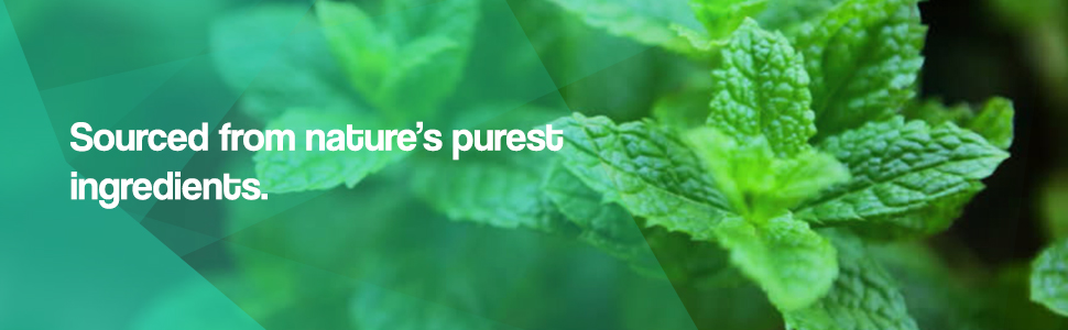 Natural Nutra Melatonin Lozenges for Rest and Relaxation