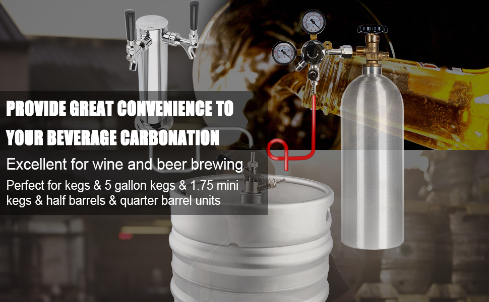 MRbrew Keg CO2 Regulator, Kegerator Regulator CGA320, 060 PSI Working Pressure, 0