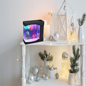 Artificial Mini Aquarium