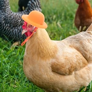 鳥の帽子 Amazon | NUSITOU 6個 ペット ニワトリ 帽子 動物 装飾 爬虫類