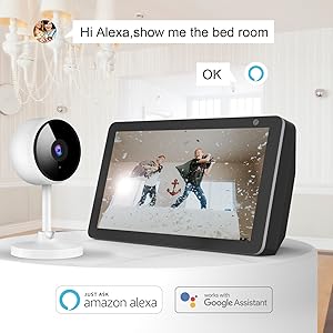 work with alexa