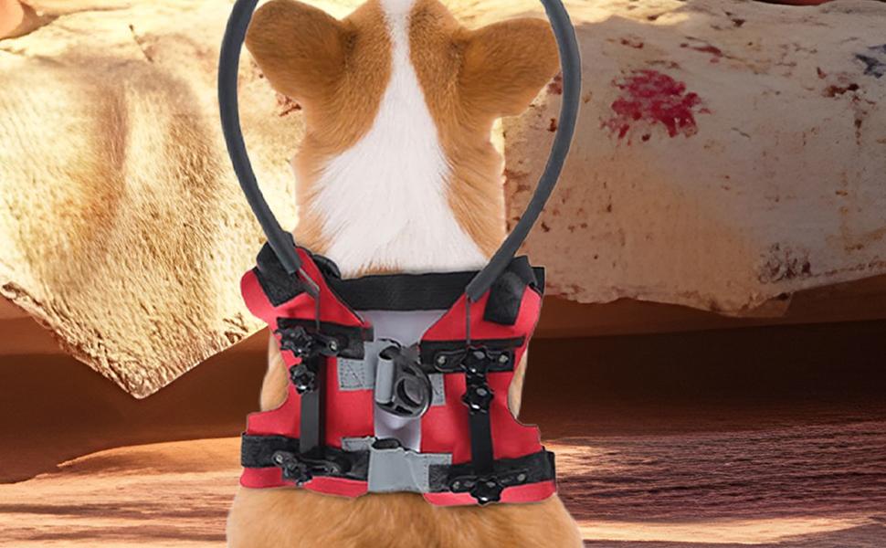 Blind Dog Harness, Anti-Collision Ring for Visually Impaired Pets, Safety Accessories & Protection for Outdoor Walks 12 FB02535(3).jpg