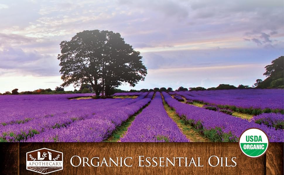 1 fl. Oz / 30 ml Organic Sage Essential Oil, USDA Certified