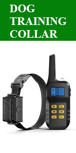 dog training collar