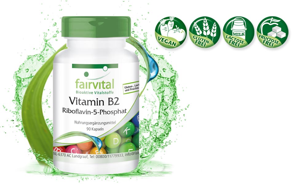 Fairvital Riboflavin5 Phosphate Active Vitamin B2 High Dose Vegan 90