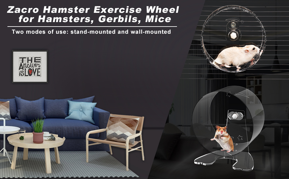 Amazon.com : Zacro Hamster Exercise Wheel - 8.7in Silent