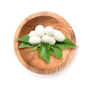 hydrating shampoo conditioner sulfate free shampoo conditioner aquableu silk and shine silk shampoo