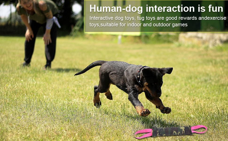 dog tug toy